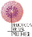 Logo da Biblioteca virtual da Mulher